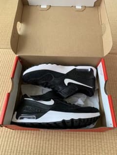 【新品箱付】NIKE AIR MAX 16.5cm ナイキ エアマックス 未使用のサムネイル