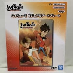 【ハイキュー!!】ビジュアルアートプレート ~B~