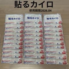 エステー 衣類に貼るカイロ 30個入のサムネイル