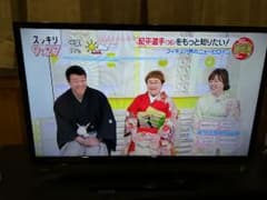 東芝REGZA　32V31　東芝外付けハードディスク1TBのサムネイル