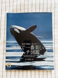 世界で一番美しいシャチ図鑑のサムネイル