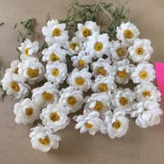 花かんざし     30本    ドライフラワーのサムネイル