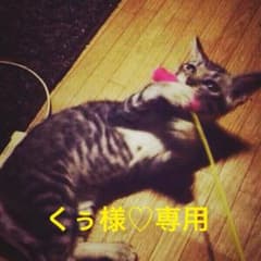 くぅ様♡専用のサムネイル