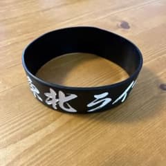 東北ライブハウス大作戦 ラバーバンドのサムネイル