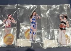 女子プロレス スターダム レディ・C 壮麗亜美 妃南 ベルトアクリル