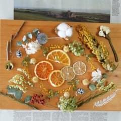 ドライフラワー花材　365　ミモザのクレイケーキ飾り　ドライフルーツのサムネイル