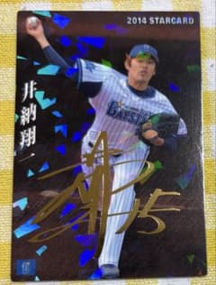 井納翔一 2014 カルビー スターカード S-69のサムネイル