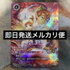 ディズニーロルカナ エンチャンテッド ピーターパン＆ティンカーベル