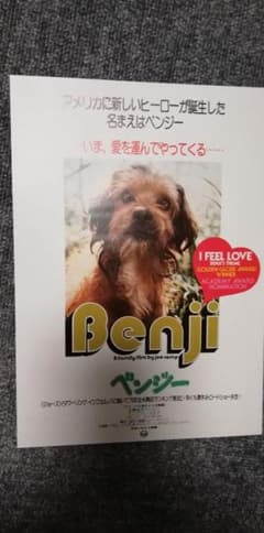 映画ベンジー　チラシのサムネイル