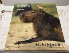 かぴばら　岩合光昭のサムネイル