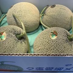 糖度15以上保証!! 夕張IKメロン4玉 優品8キロ - メルカリ