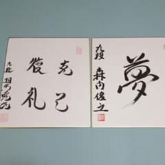 達人色紙セット 羽生善治永世七冠&森内俊之永世名人 - メルカリ