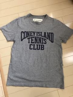 美品　THE SHINZONE Tシャツのサムネイル