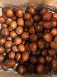 石田様専用　アボカドの種(100玉)avocafeのサムネイル