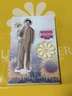 堀夏喜　アクリルスタンドのサムネイル