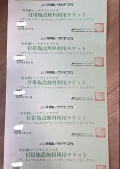 浜名湖レークサイドプラザ プール無料利用券　５枚のサムネイル