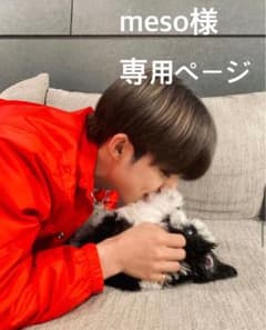 meso様 専用ページのサムネイル