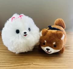 ふわもふポメたん　忠犬もちしば　ぬいぐるみセットのサムネイル