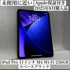 iPad Pro M4 11インチ 256GB スペースブラック 未使用に近い 未使用に近い 2025年8月購入 iPad Pro 11インチ M4 256GB - メルカリ