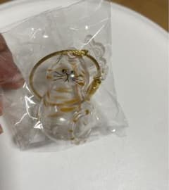 うちの子けだまだま 茶トラのサムネイル