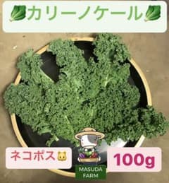 ②東京産若採りカリーノケール100gセットのサムネイル