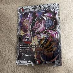 デュエルマスターズ 初期 旧枠 禁断の轟速 ブラックゾーン 銀