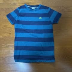 Tシャツ　ラコステ　ボーダーのサムネイル