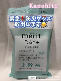 merit DAY+ ドライシャンプーシート 12枚入✖️4⑥のサムネイル