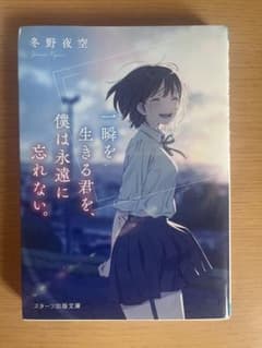 一瞬を生きる君を、僕は永遠に忘れない。 冬野夜空のサムネイル