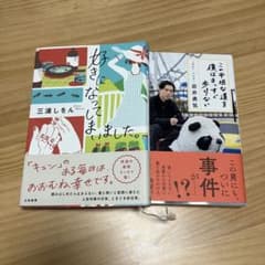 好きになってしまいました。三浦しをん／この平坦な道を僕はまっすぐ行くのサムネイル