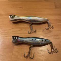 スカジットデザイン　パンプキンセットのサムネイル