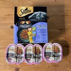 ディリーディッシュ、シーバDUOのサムネイル