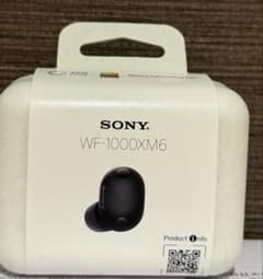 SONY WF-1000XM6 ワイヤレスイヤホン 本体のサムネイル
