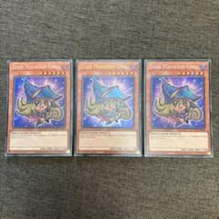 遊戯王 英語版 EU ブラックマジシャンガール シークレットレア BLGG 3