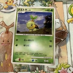 ナエトル 拡張パック 時空の創造 ダイヤモンド＆パールコレクション