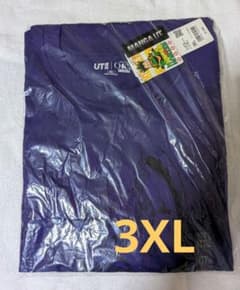 3XL 사이즈 ☆ UNIQLO MANGA UT HUNTER × HUNTER