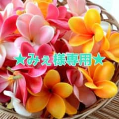 ★みぇ様専用★のサムネイル