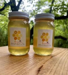 天然熟成1年 希少 日本蜜蜂 国産天然はちみつ100%600g(J2Y1箱) - メルカリ