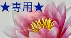 ★専用★天然石ブレスレットのサムネイル