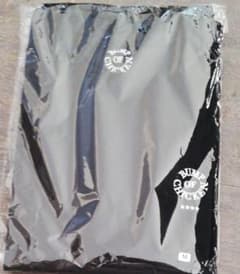 BUMP OF CHICKEN　ロングTシャツ　長袖　verdy　ロンｔのサムネイル