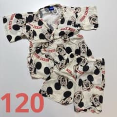 미키 진평 120