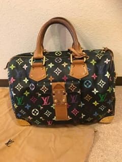 Jija様専用☆☆ルイヴィトン  マルチカラー スピーディバックのサムネイル