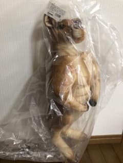 ヴィレッジバンガード⭐️マッチョカンガルーのサムネイル
