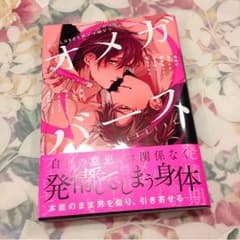 最終お値下げ オメガバース BL本のサムネイル