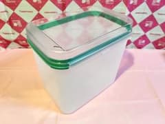 新品 Tupperware ベジタブルボックスワイド#4 すのこ付きのサムネイル