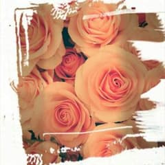 2211様専用のサムネイル