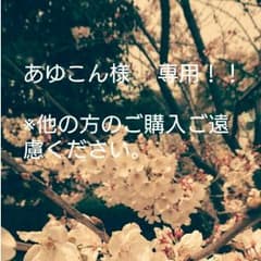 あゆこんさま専用！！ショルダーバッグ 【VEICE】のサムネイル