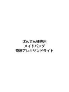 ぱんまん様専用 メイドパンダ 奇運アレキサンドライトのサムネイル