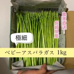 長崎県産 ベビーアスパラガス 1kgのサムネイル