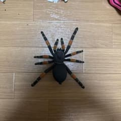 タランチュラ フィギュアのサムネイル